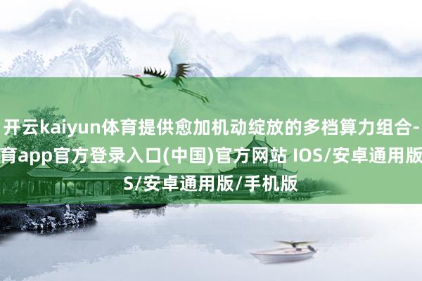 开云kaiyun体育提供愈加机动绽放的多档算力组合-kai云体育app官方登录入口(中国)官方网站 IOS/安卓通用版/手机版