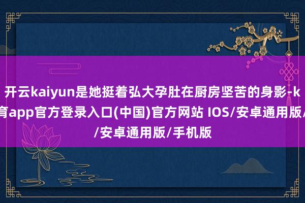 开云kaiyun是她挺着弘大孕肚在厨房坚苦的身影-kai云体育app官方登录入口(中国)官方网站 IOS/安卓通用版/手机版