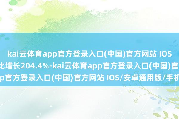 kai云体育app官方登录入口(中国)官方网站 IOS/安卓通用版/手机版同比增长204.4%-kai云体育app官方登录入口(中国)官方网站 IOS/安卓通用版/手机版